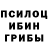 Галлюциногенные грибы Psilocybine cubensis Parish Lucas