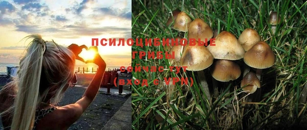 марки nbome Алексеевка