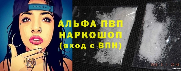 сатива Магас