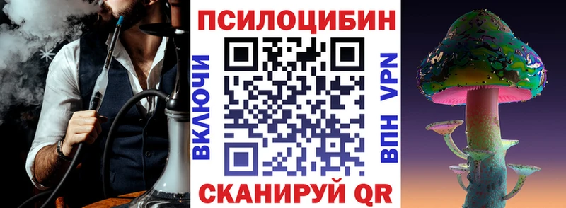 Галлюциногенные грибы Cubensis  купить закладку  Цоци-Юрт 